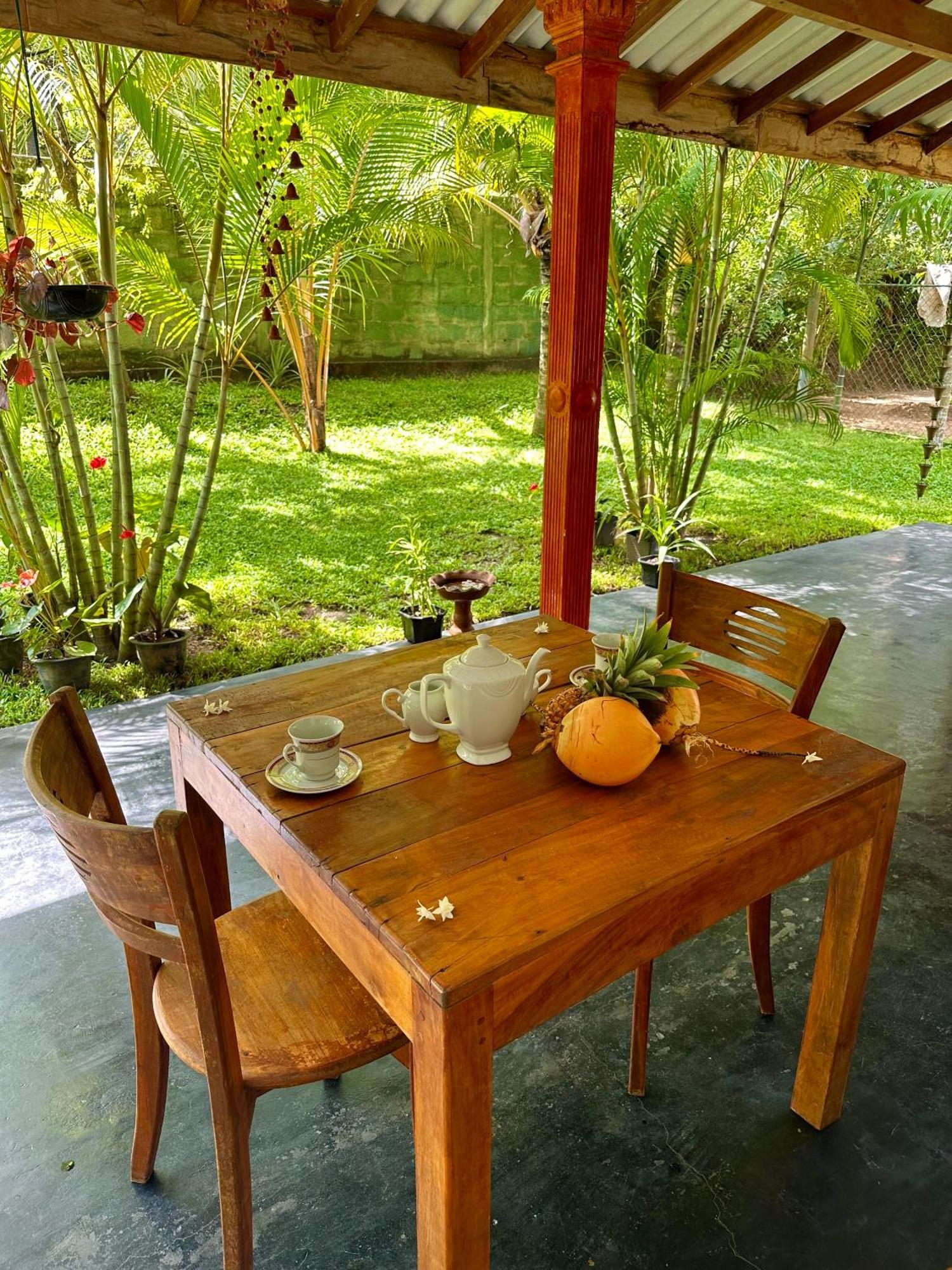 Jasmin Homestay Marakolliya Tangalle Exterior photo