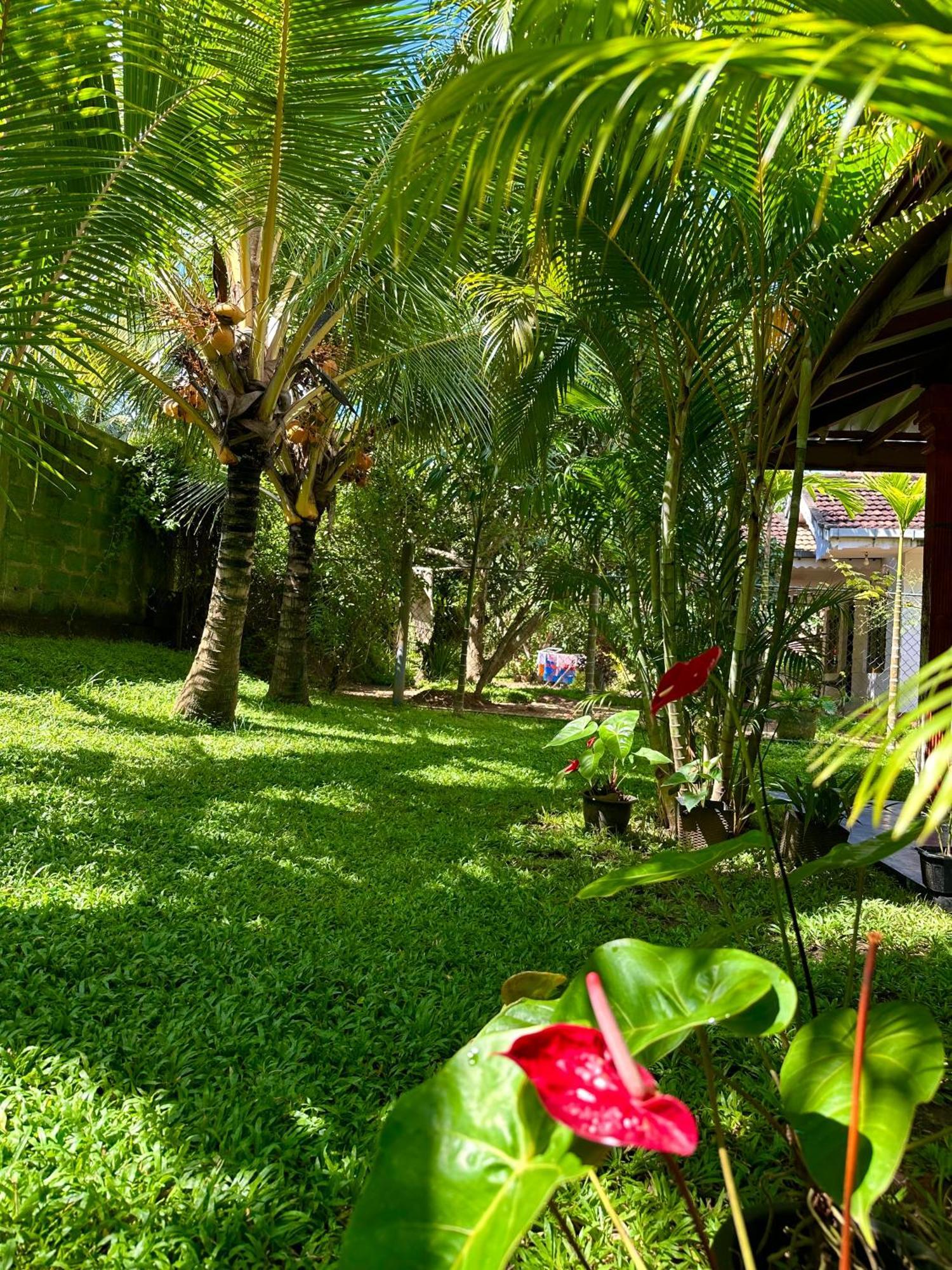 Jasmin Homestay Marakolliya Tangalle Exterior photo