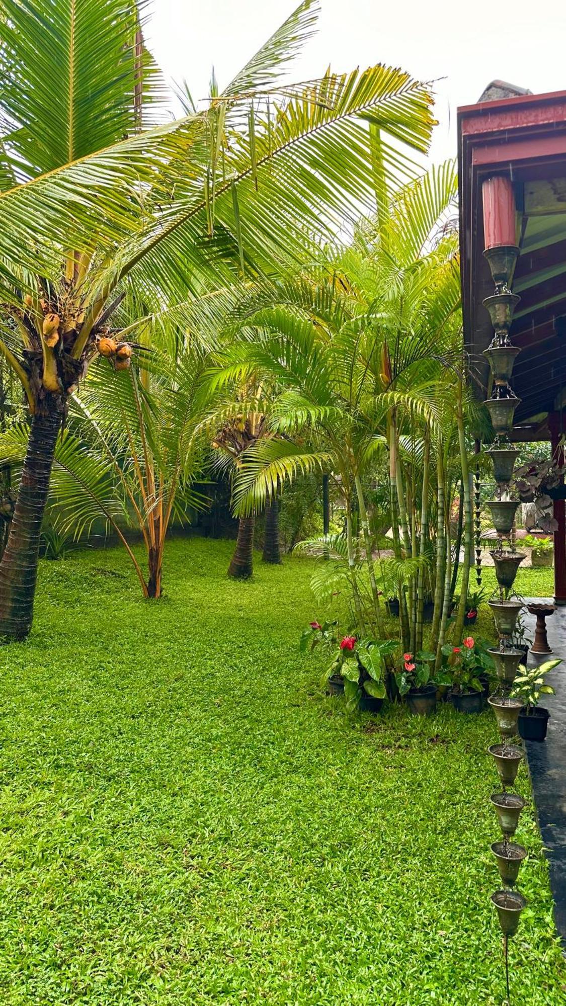 Jasmin Homestay Marakolliya Tangalle Exterior photo