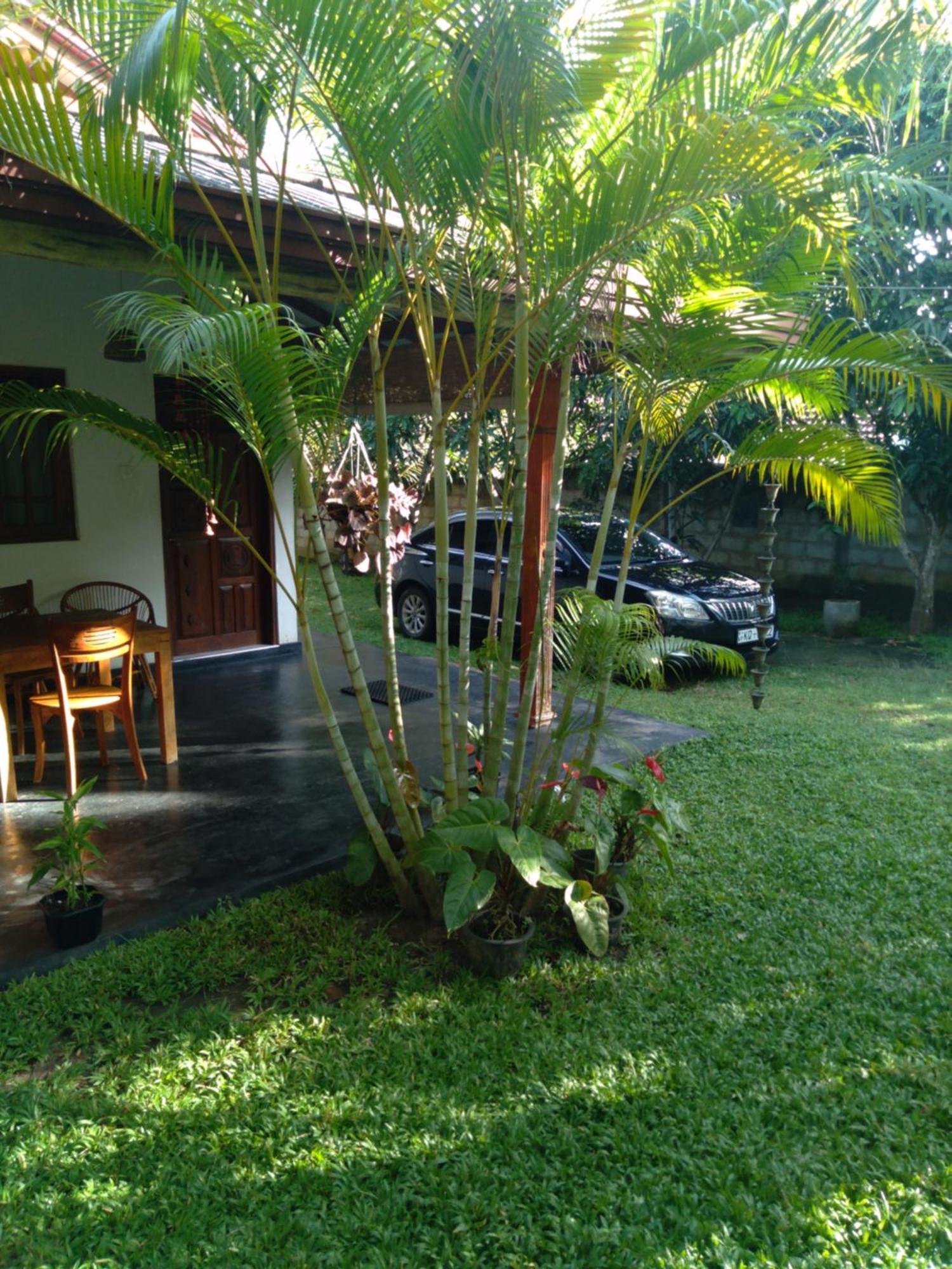 Jasmin Homestay Marakolliya Tangalle Exterior photo